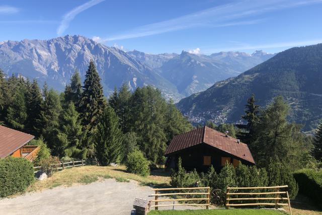 13. Blick auf das Chalet im Sommer